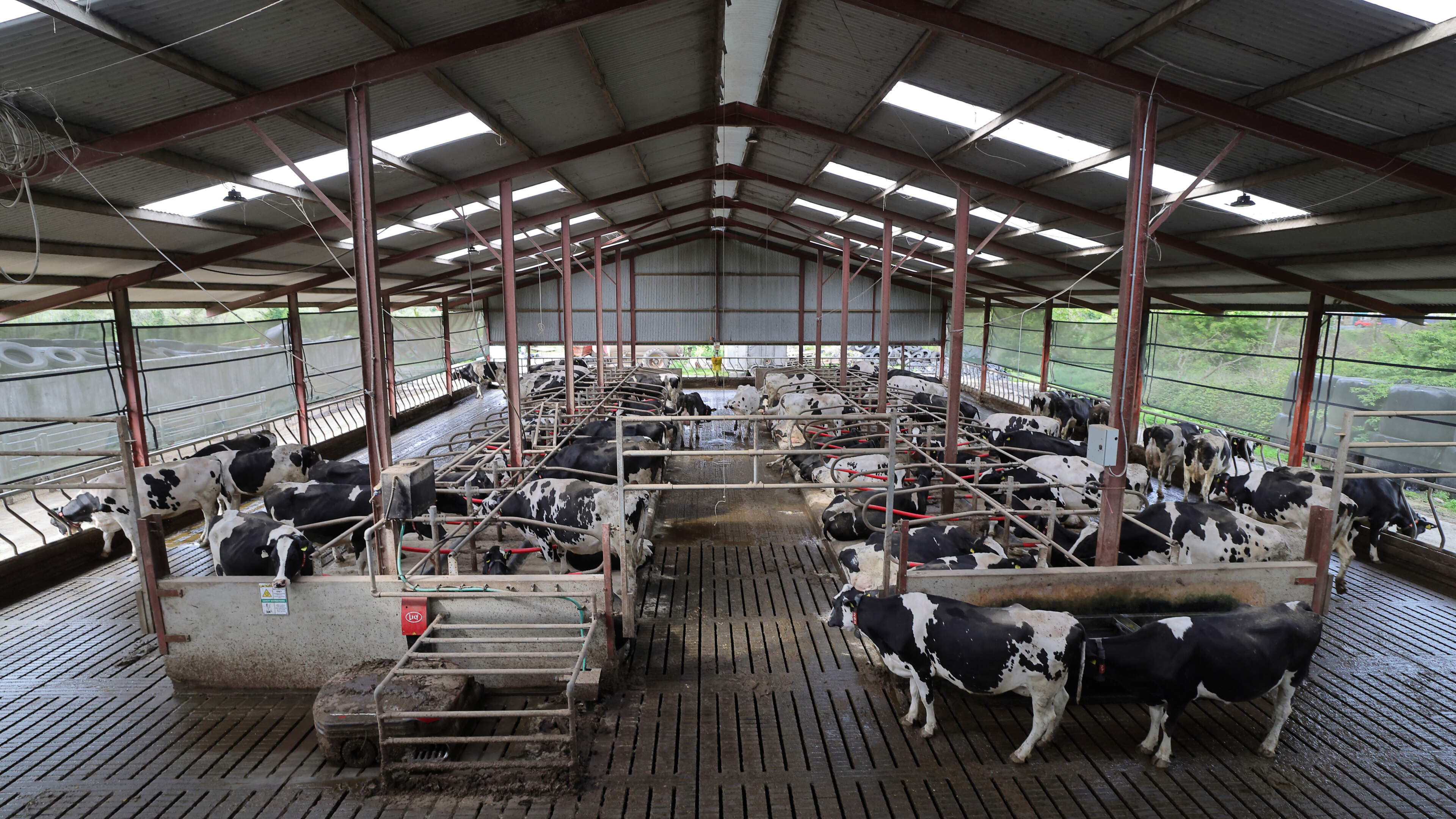 Half of dairy farmers have no successor lined up, despite confidence in sector